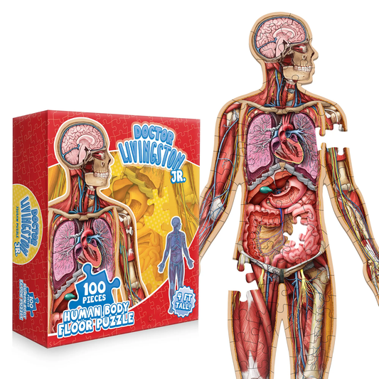 ⏰Last Day Promotion 49% OFF✨Kid's 100 Piece Human Body Floor Puzzle