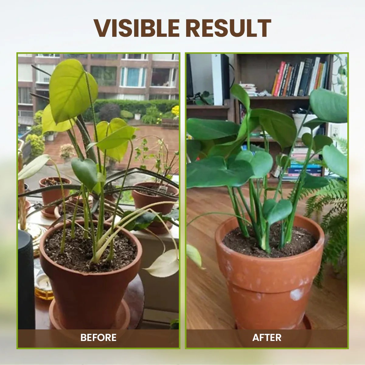 🏆75K+ SOLD! 🌳Soil Pro Activator