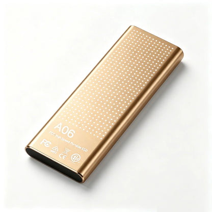 Portable high-speed and large-capacity solid-state drive