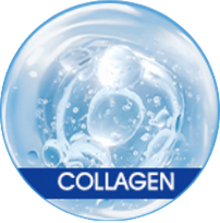 Collagen